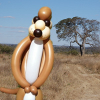 Meercat Balloon